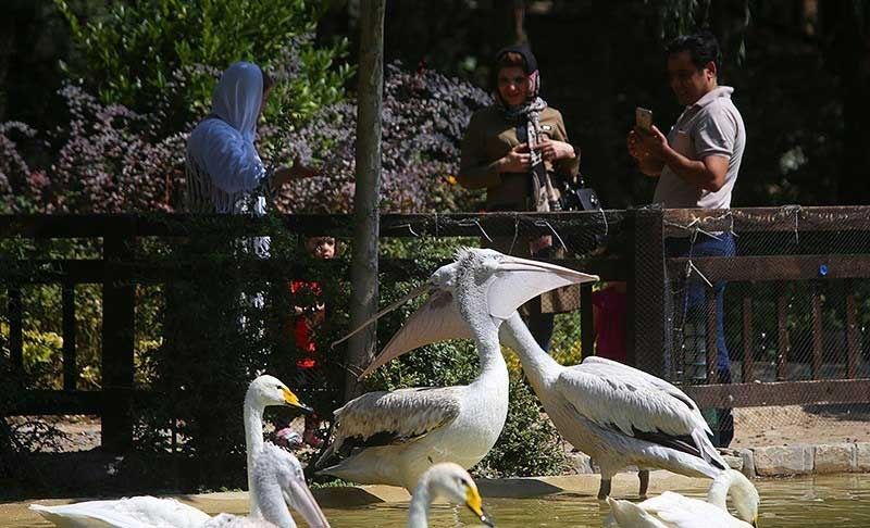 قیمت بلیط باغ پرندگان تهران لاکچری شد