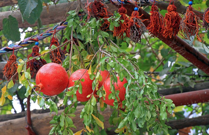 برگزاری جشنواره انار در روستای توچال پاکدشت